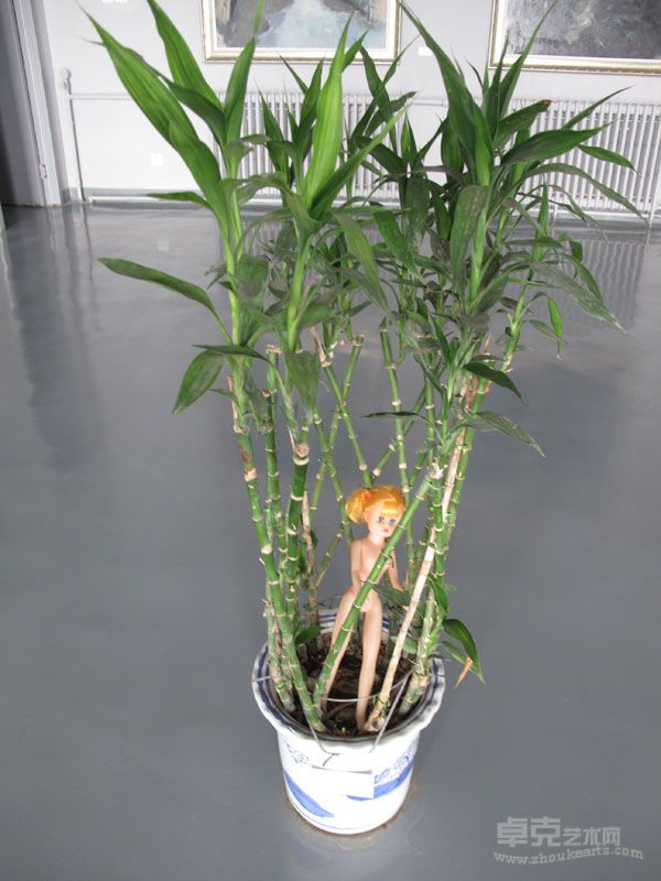 王櫻璇装置图片 8