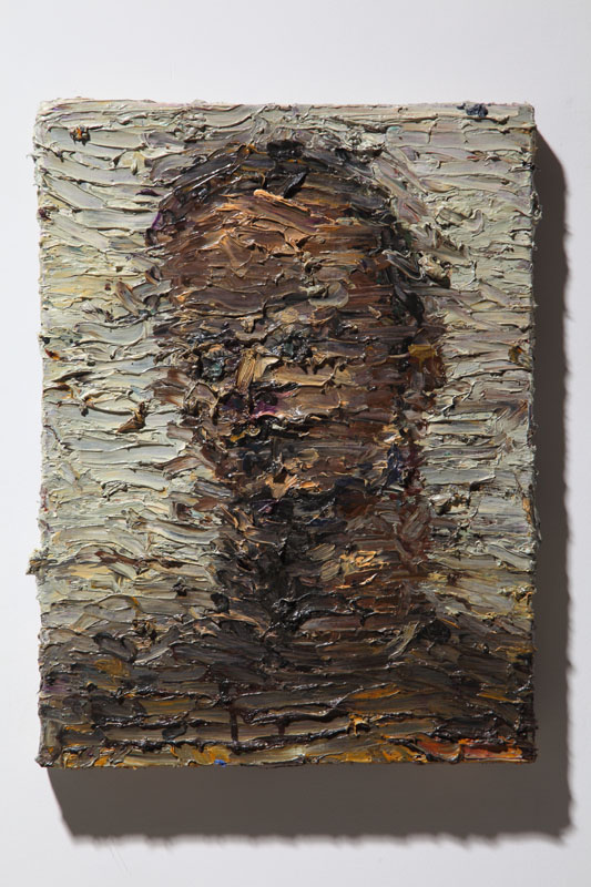 董云禾 星Ⅱ 40×30cm 布面油画 2011