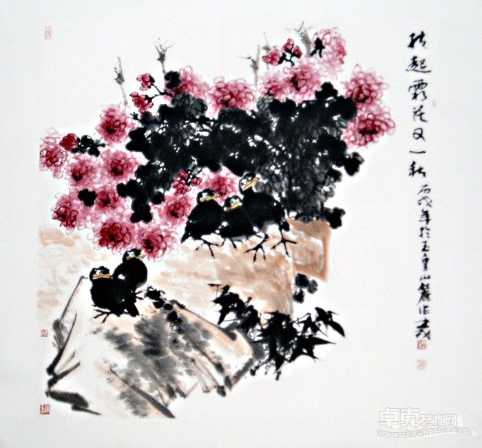 菊