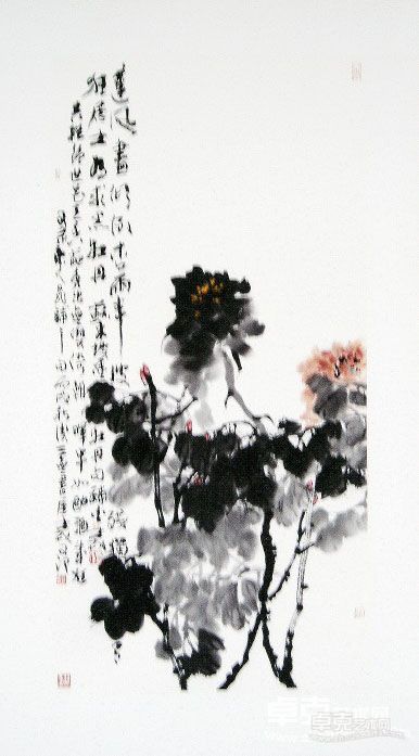 牡丹