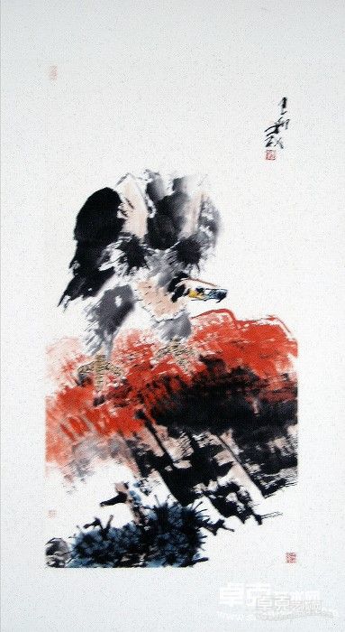鹰