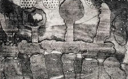 《景》 2008年作 19*15cm 铜版画