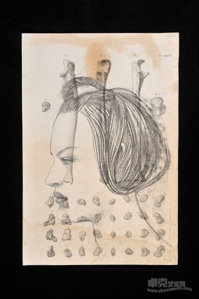 素描系列1，铅笔、炭笔、古老纸张， 55x45 cm, 2011 年
