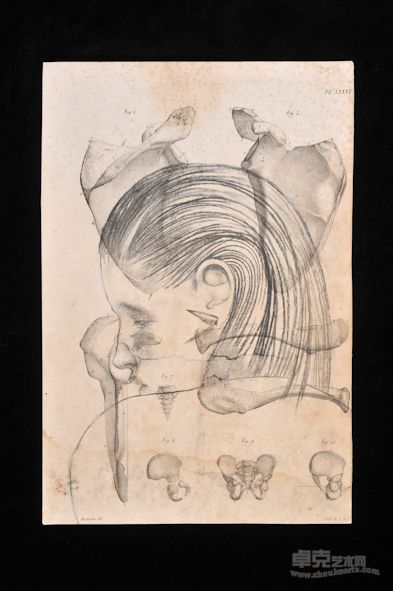 素描系列2，铅笔、炭笔、古老纸张， 55x45 cm, 2011 年