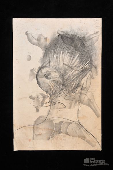 素描系列4，铅笔、炭笔、古老纸张， 55x45 cm, 2011 年