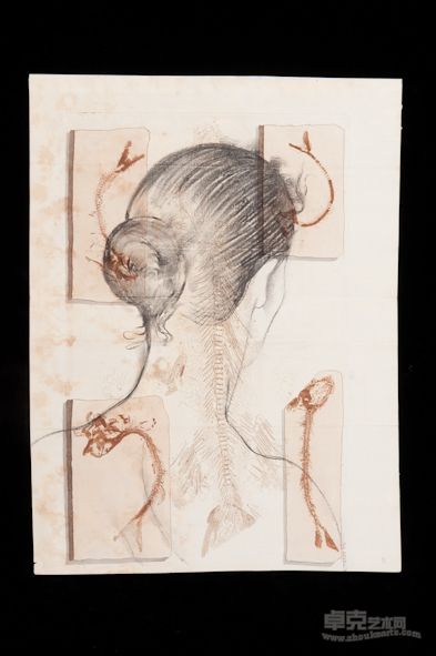素描系列8，铅笔、炭笔、古老纸张， 55x45 cm, 2011 年