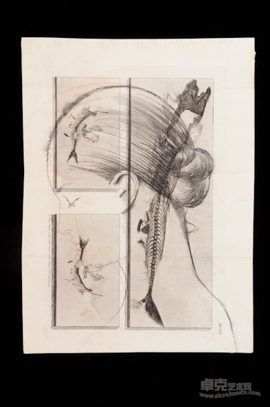 素描系列9，铅笔、炭笔、古老纸张， 55x45 cm, 2011 年