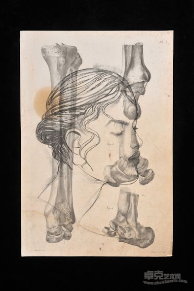 素描系列10，铅笔、炭笔、古老纸张， 55x45 cm, 2011 年