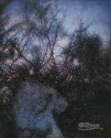 肖芳凯 《辛卯集1101》 150x120cm 2011年 布面油画