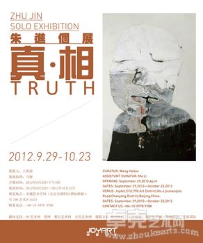 朱进个展—真相