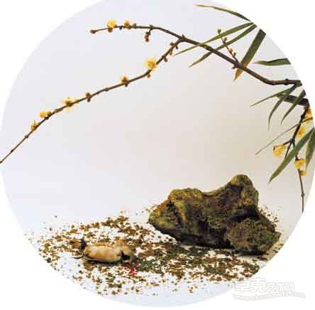 洪磊仿（宋）马麟《疏影暗香》 摄影