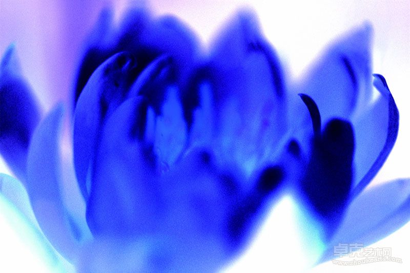 花之灵·性系列 4