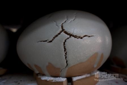 作品5