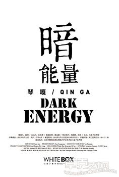 “暗能量”琴嘎个展