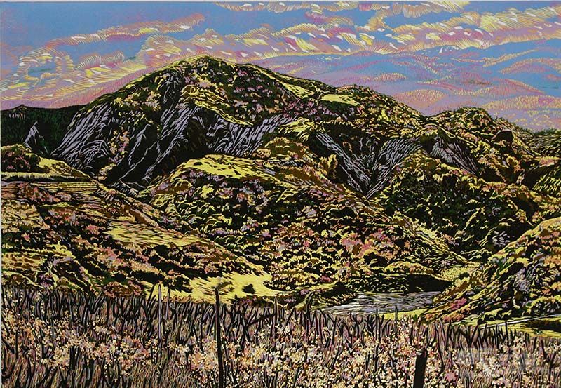北国之春 绝版木刻 44x64cm 2009