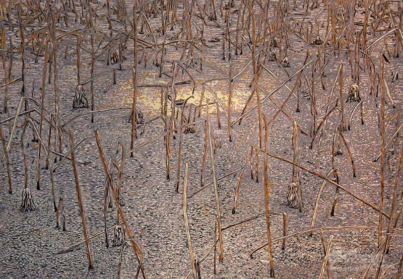 荷No.1 绝版木刻 70x100cm 2012