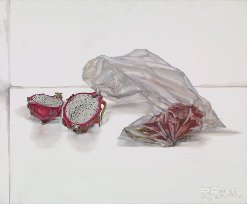 物Object 50.5x73cm 布面油画Oil on Canvas 2002