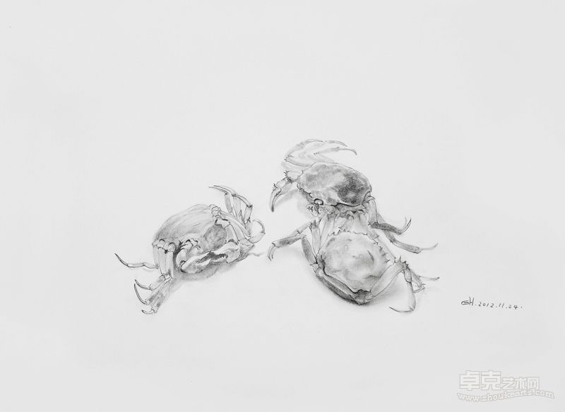高昊《2012河蟹系列之四》 39x54cm  2012年 纸上素描