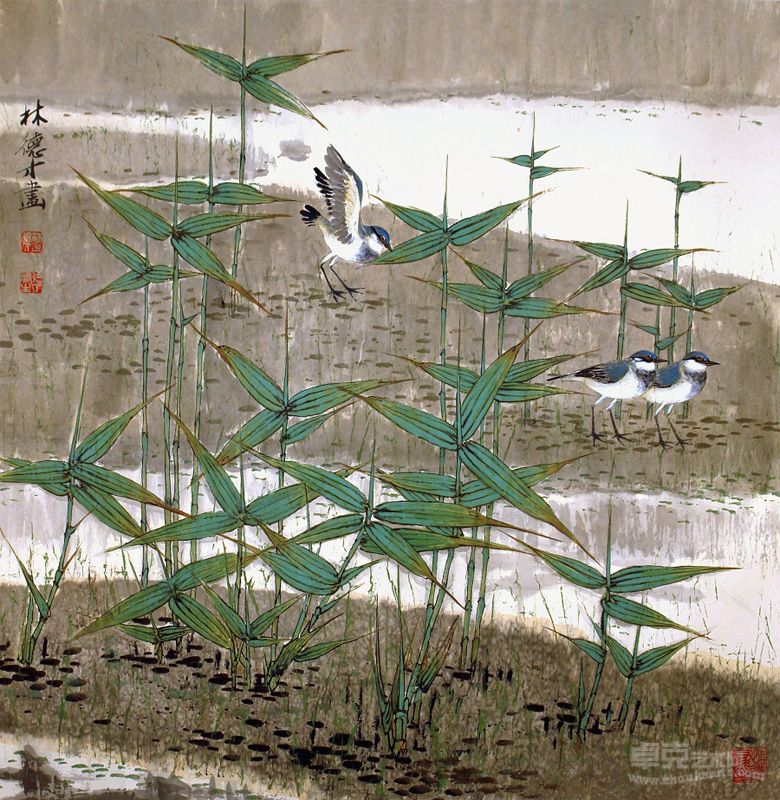 林德才 小鳥