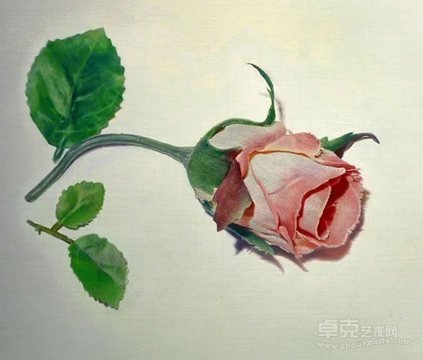 卢征远，一朵