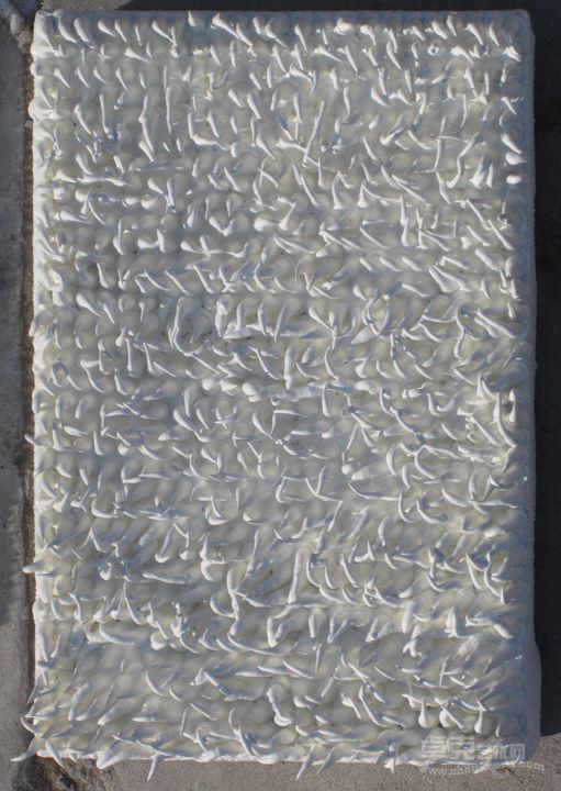 《羔羊的皮-遮盖2》赵燕峰,20x30cm，2009年