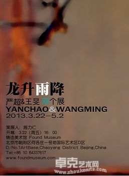 “龙升雨降”严超&王旻双个展