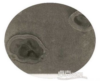 “画水者”李昕个展