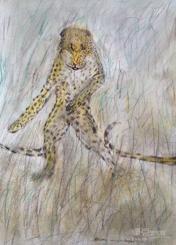 《Dancing Leopard》39×27cm纸本彩铅 2013