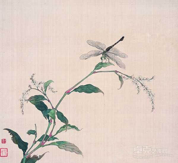 工笔花鸟册之七蜻蜓白廖