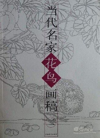 《当代名家花鸟画稿（第二册）》 石兰编著 2004年 河南美术出版社