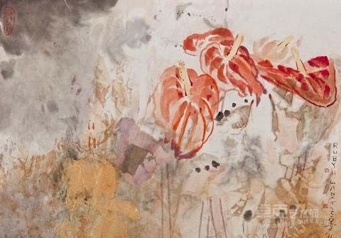 红掌 华之宁 68×40 2011