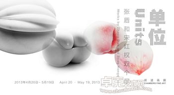 张盾和宋红权双个展