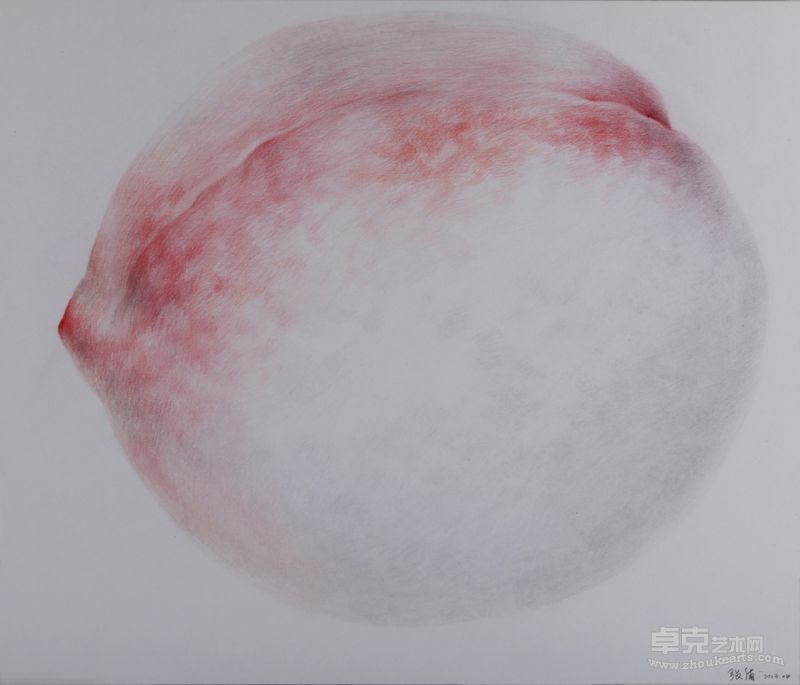 张盾 桃 No.16