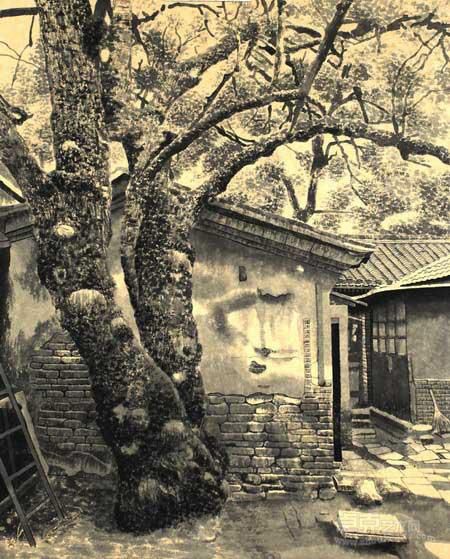 沧桑