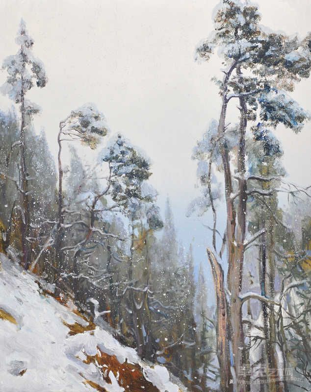 雪松
