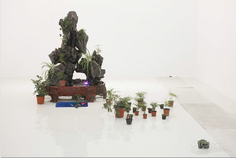 楚亮 盆景