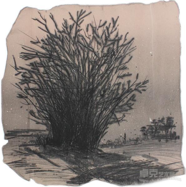 《景三·树》 30x30cm 2013年