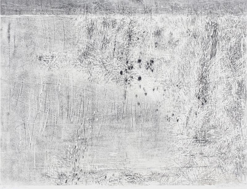 张放 秋水 122cm×92cm  水印木刻 2011