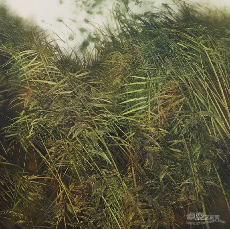 《草》80X80cm  2012年
