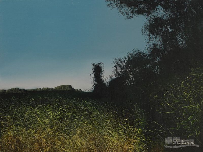《丛》80X60cm   2012年