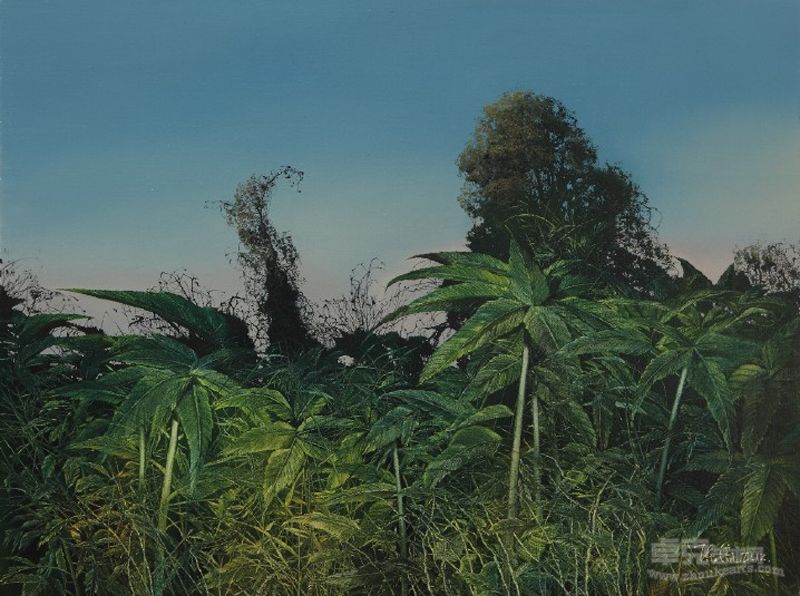 《林》80X60cm   2012年