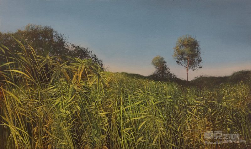 《风景》100X60cm  2012年