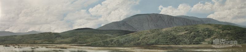 《绿色》180X40cm   2012年