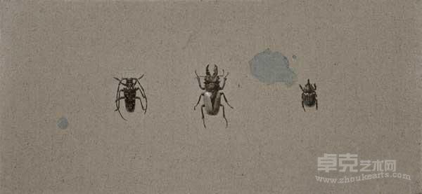 《THE BEETLES》 陈红波
