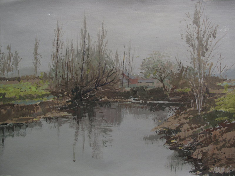 池塘37-52cm 2009年