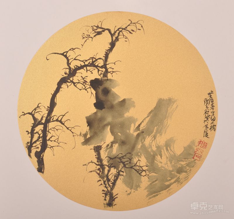 杜斌龙爪槐镜片直径27
