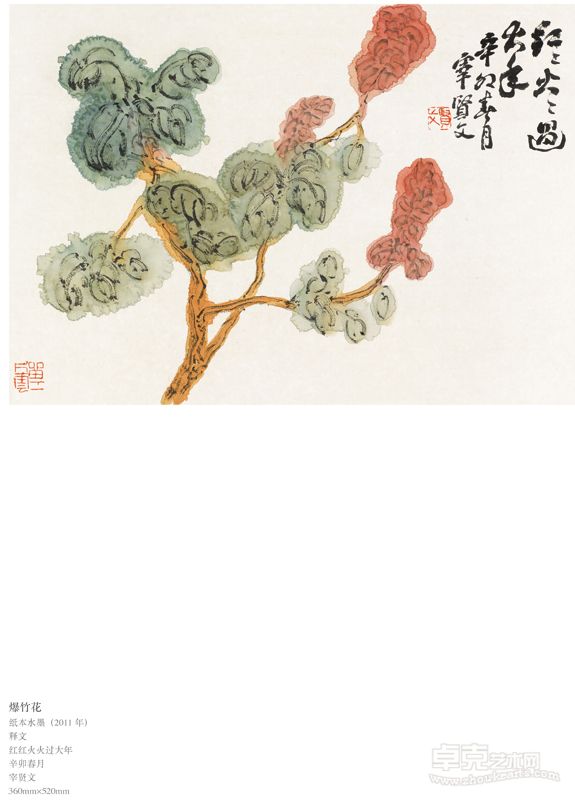 爆竹花