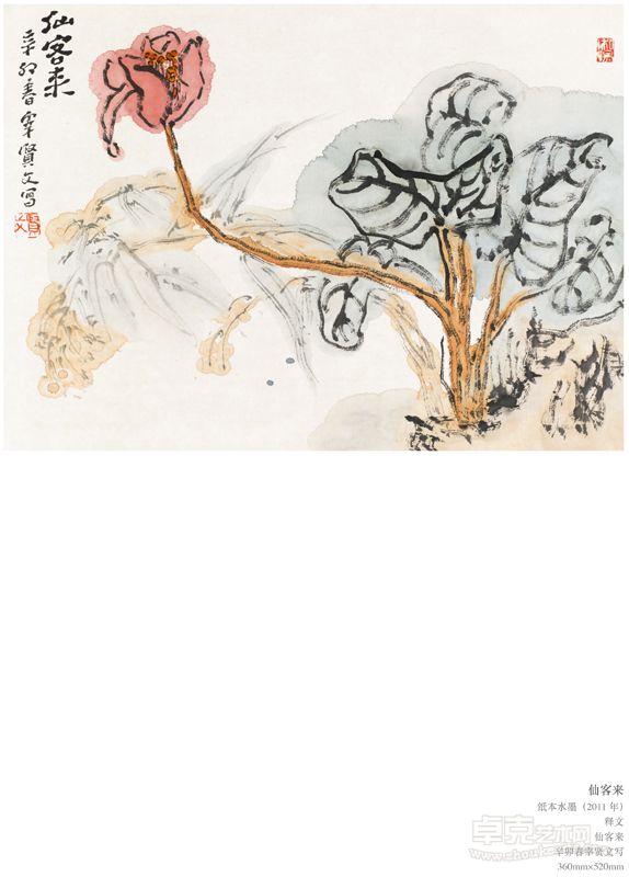 仙客来