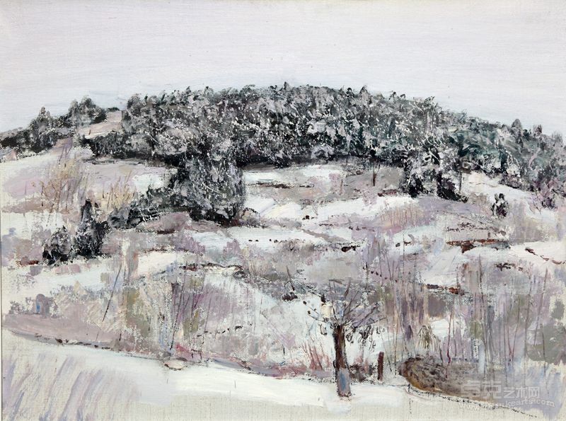 雪舞 （画室窗外之三)，60x80，2011