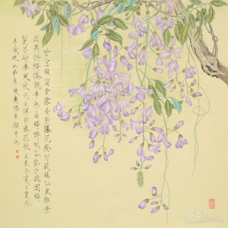 紫藤花发
